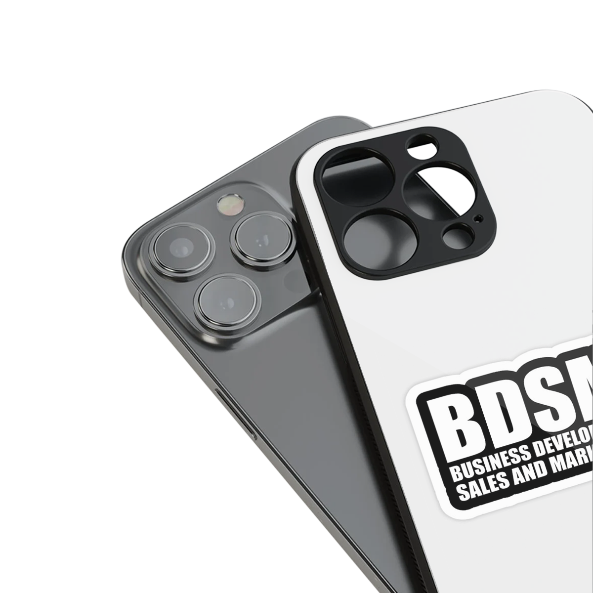 BDSM Phone Case for Iphone 16 | Glass Case