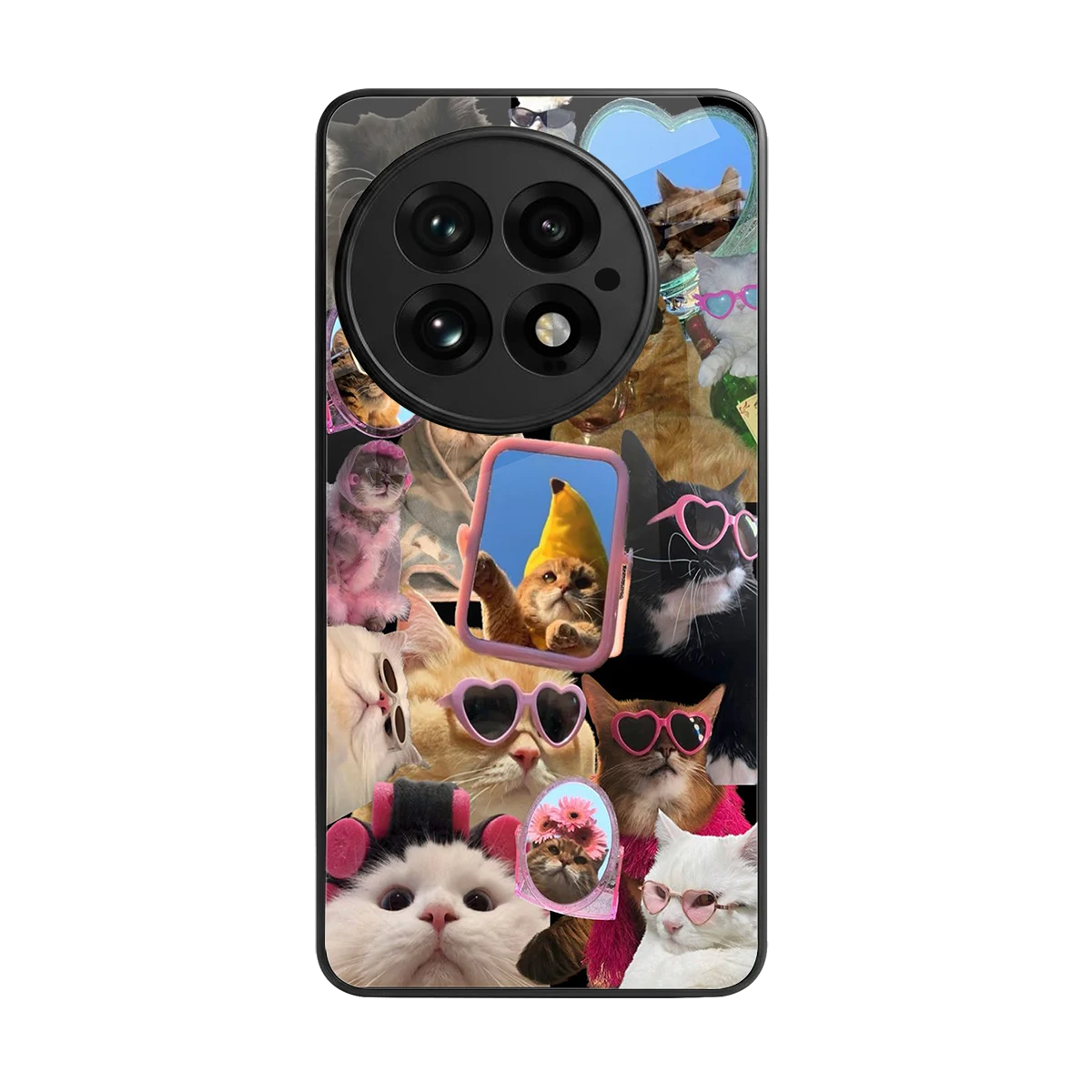 Catastic Montage back phone cover | glass case for oneplus 13