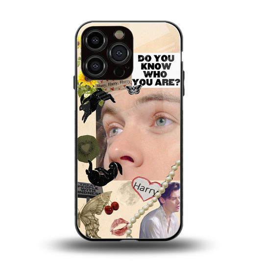 Harry Styles back phone cover | glass case for iphone 15 pro max