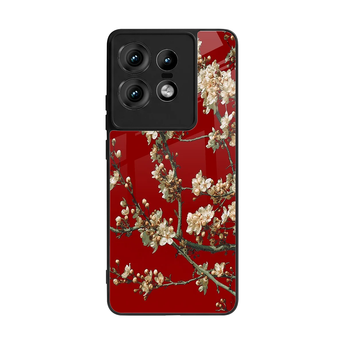 Scarlet Petals back phone cover | glass case for motorola edge 50 pro
