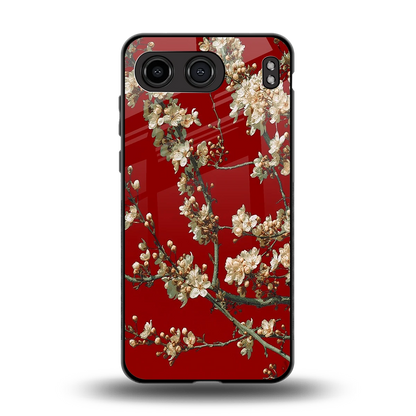Scarlet Petals back phone cover | glass case for oneplus nord 4