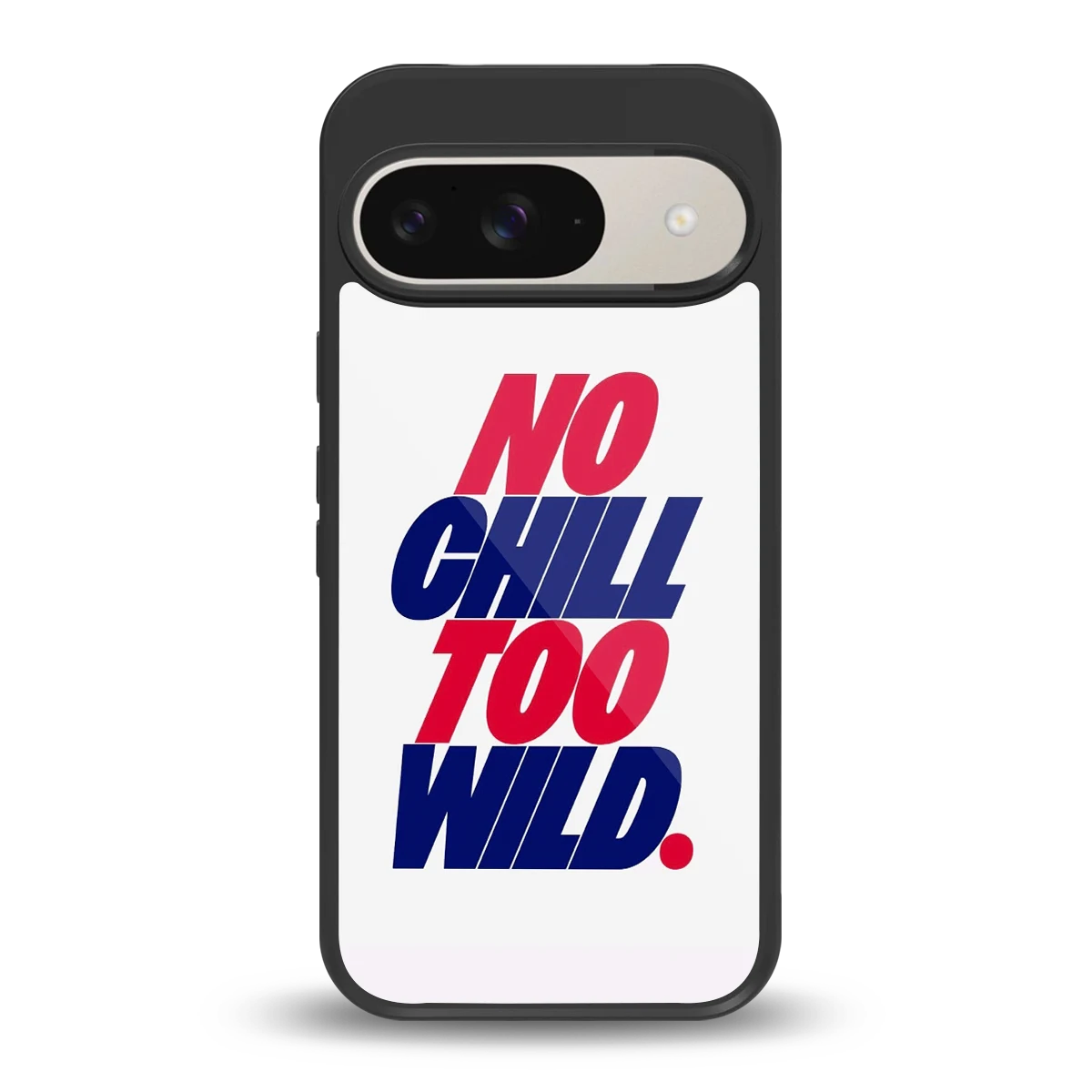 Wild Ride back phone cover | glass case for google pixel 9